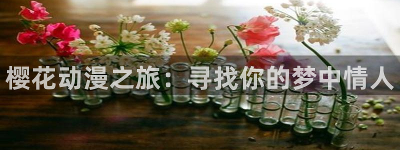 贝勒漫画网：樱花动漫之旅：寻找你的梦中情人