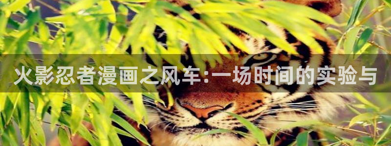 在线动画动漫下载贝勒漫画：火影忍者漫画之风车:一场时间的实验与
