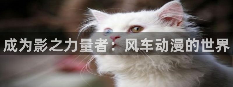 贝勒漫画omofun：成为影之力量者：风车动漫的世界