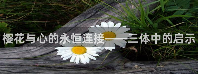 贝勒漫画网：樱花与心的永恒连接——三体中的启示