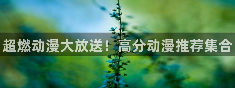 贝勒漫画官网网址：超燃动漫大放送！高分动漫推荐集合