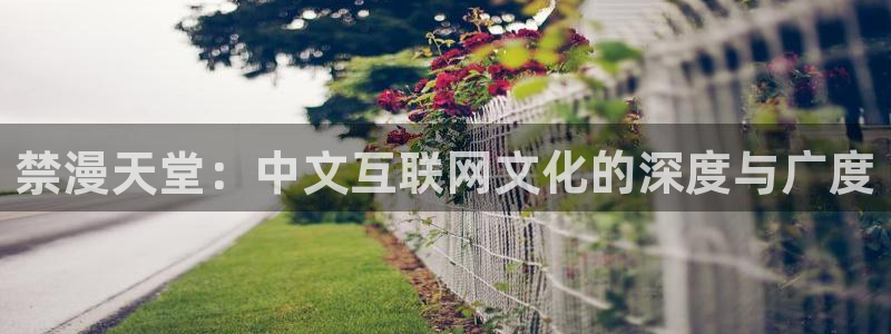 贝勒漫画官网网址：禁漫天堂：中文互联网文化的深度与广度