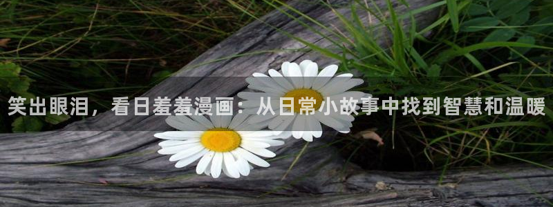 kakaopage韩漫官网：笑出眼泪，看日羞羞漫画：从日常小故事中找到智慧和温暖