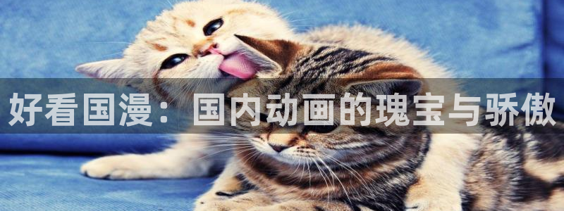 colamanage漫画官网：好看国漫：国内动画的瑰宝与骄傲