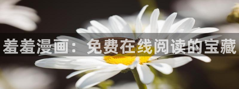 韩国漫画平台kakaopage：羞羞漫画：免费在线阅读的宝藏