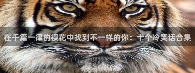 volcanicage漫画：在千篇一律的樱花中找到不一样的你：十个冷笑话合集