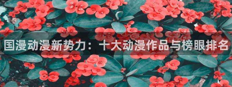 贝勒漫画网：国漫动漫新势力：十大动漫作品与榜眼排名