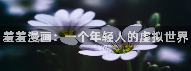backstage韩漫免费观看：羞羞漫画：一个年轻人的虚拟世界