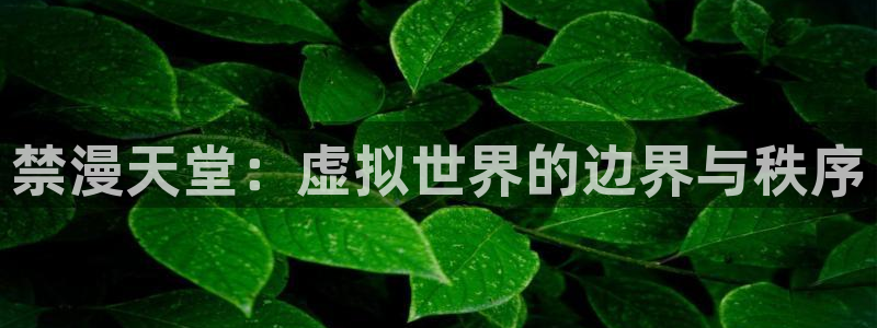 贝勒漫画下载入口：禁漫天堂：虚拟世界的边界与秩序