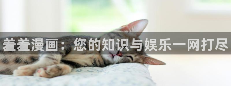 backstage韩漫免费观看：羞羞漫画：您的知识与娱乐一网打尽