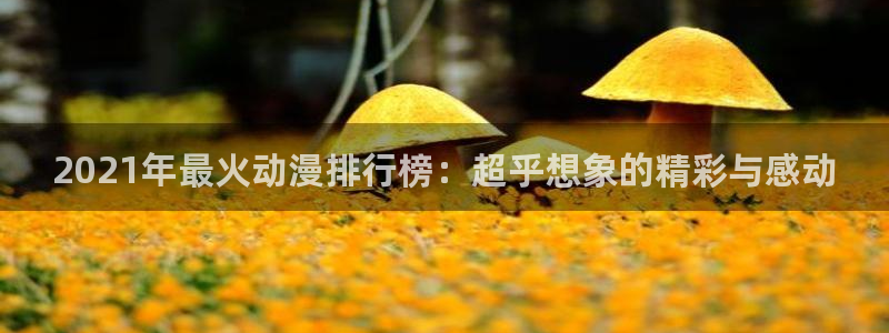 age专注动漫的门户网站：2021年最火动漫排行榜：超乎想象的精彩与感动