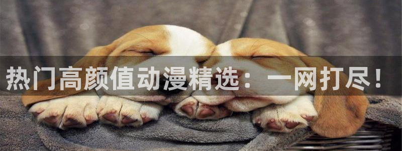 colamanage漫画：热门高颜值动漫精选：一网打尽！